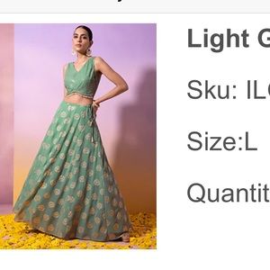 House of Indya light green sequin embellished fringe top and lehenga skirt